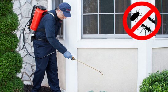 Yenişarbademli Hamam Böceği İlaçlama böcek ilaçlama ve haşere kontrolü — ilaclama-tr.com